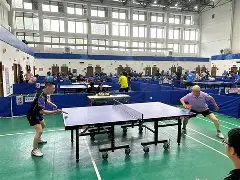 瑞典乒乓球队轻取奥地利乒乓球队，张本智和统治全场