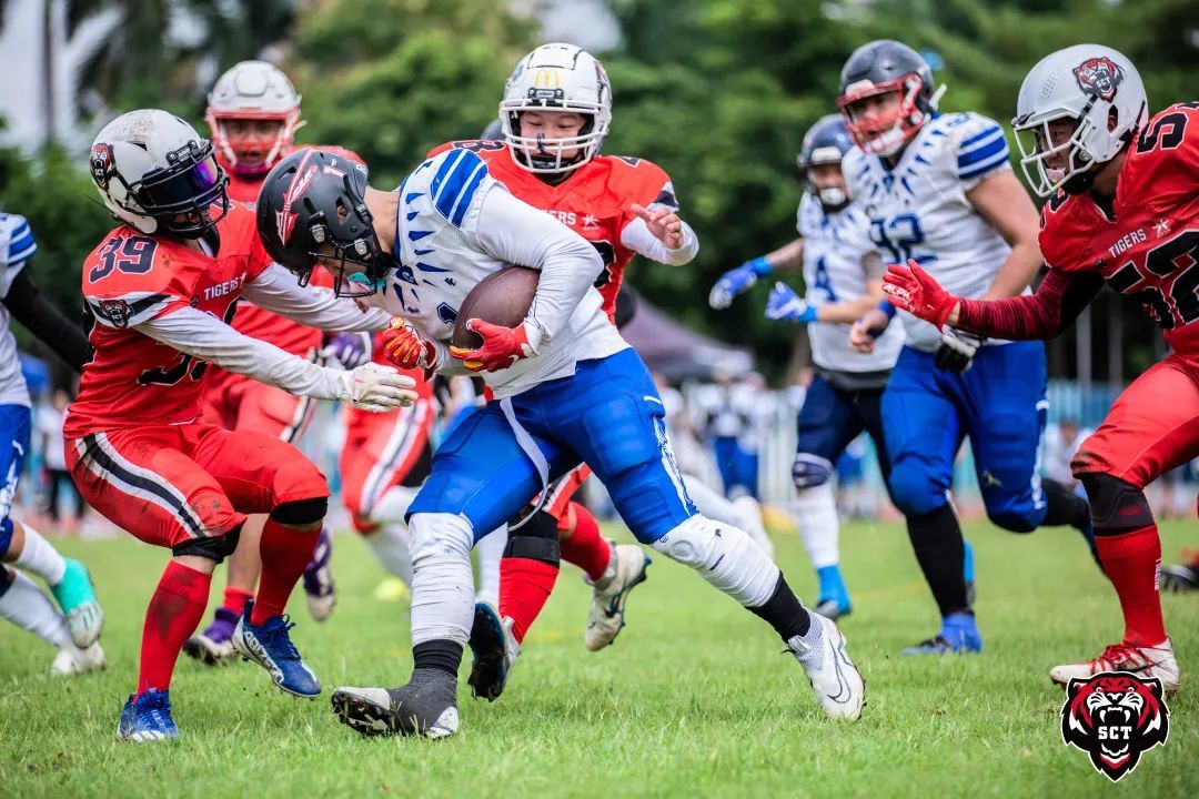 开云APP-关于世界赛舞台，橄榄球代表国家出征荣耀的信息