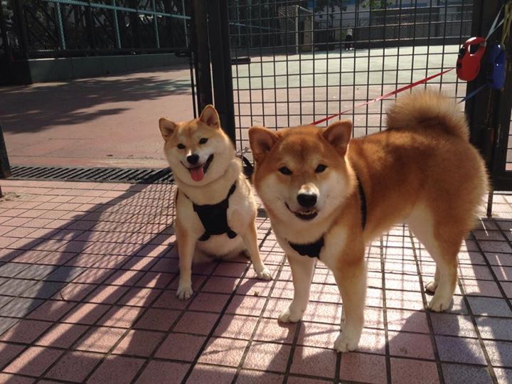 开云体育平台APP-当密尔沃基的铁蹄踏过亚特兰大，一个关于如果的总决赛狂想曲