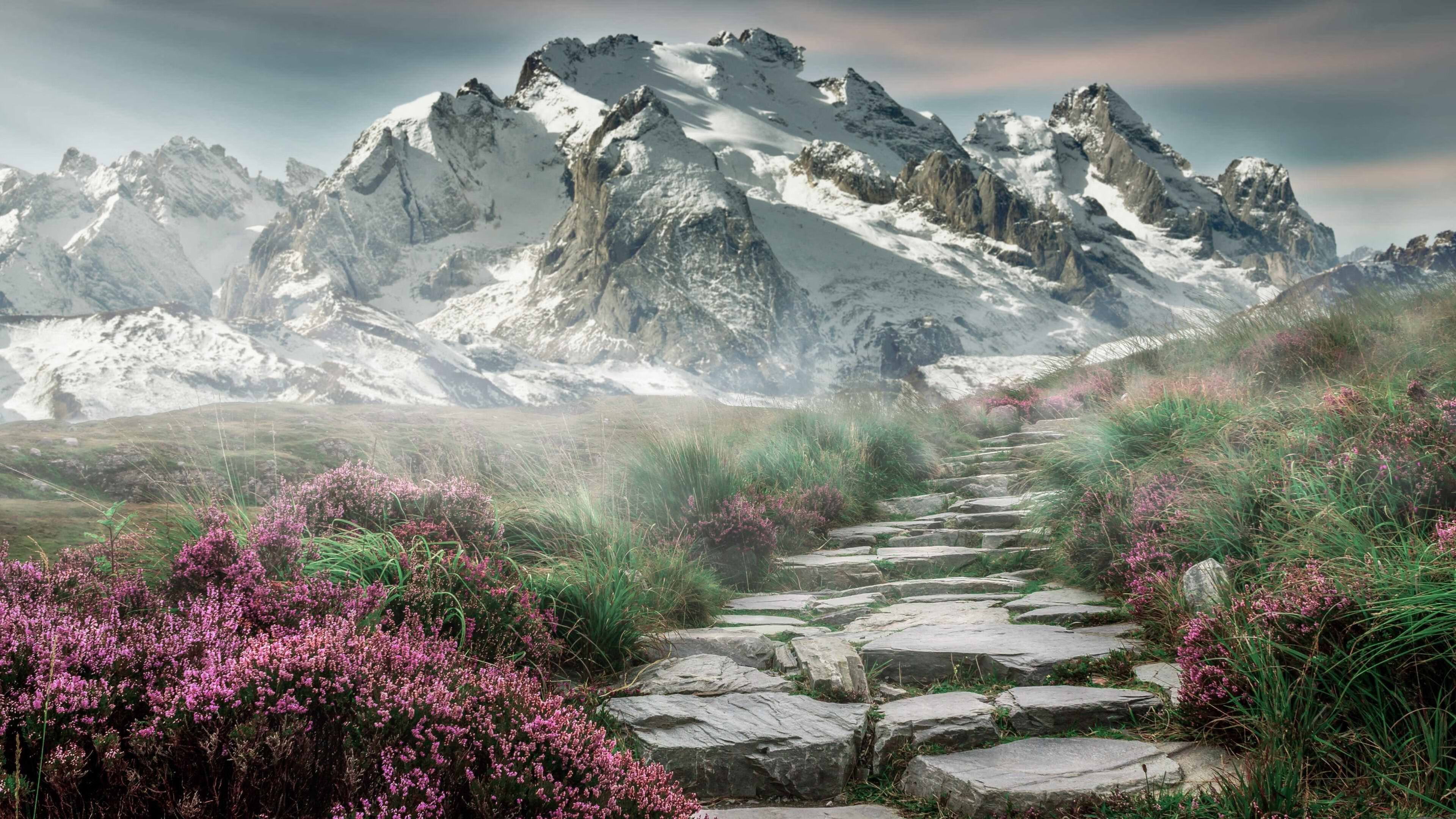 晨星坠落，草根升起，当利拉德照亮另一个太阳的战场