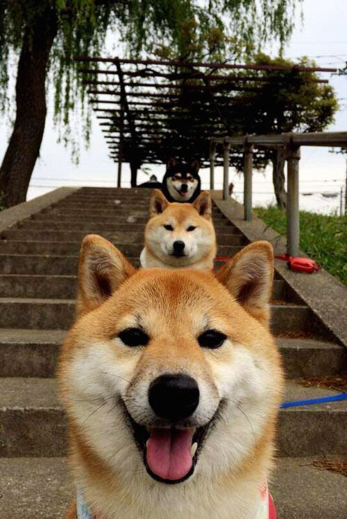 逆袭序章，奥运周期里，一场狂胜如何定义宿命的拐点