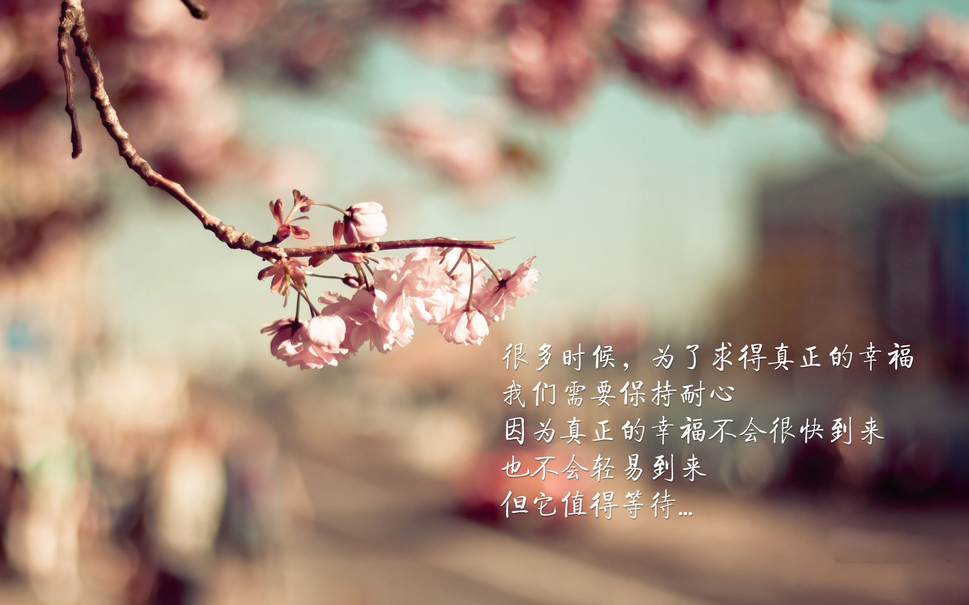 约基奇弹奏高山流水，末节森林狼如驯鹿踏雪带走湖人