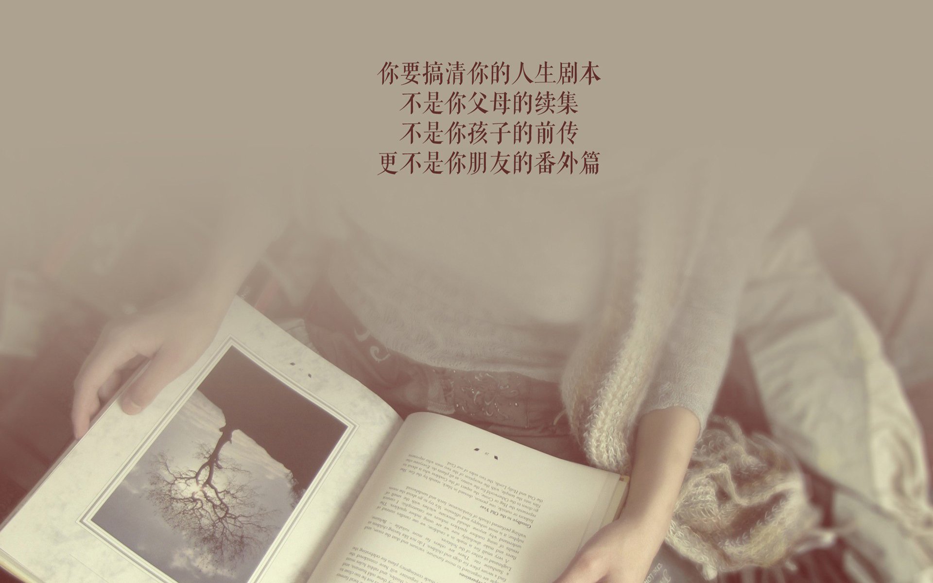 冰火两重天,2026世界杯F组焦点战,冰岛冰瀑倾泻,卢卡库状态火热导演完胜泰国